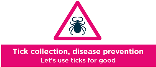 tick image