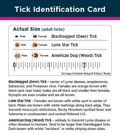 tick_card_1