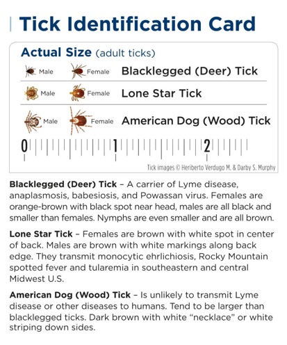 tick_card_1